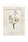 Hello Honey® Mother of Pearl 5" x 7" Photo Frame